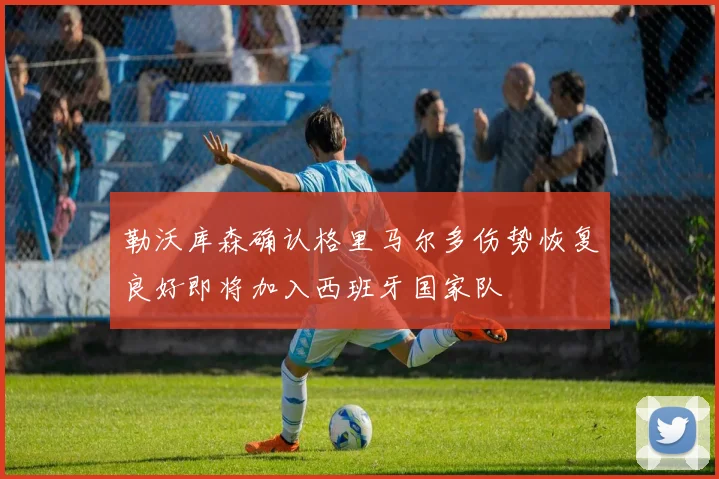 勒沃库森确认格里马尔多伤势恢复良好即将加入西班牙国家队