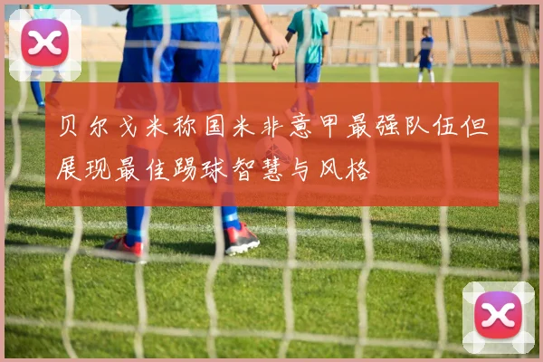 贝尔戈米称国米非意甲最强队伍但展现最佳踢球智慧与风格