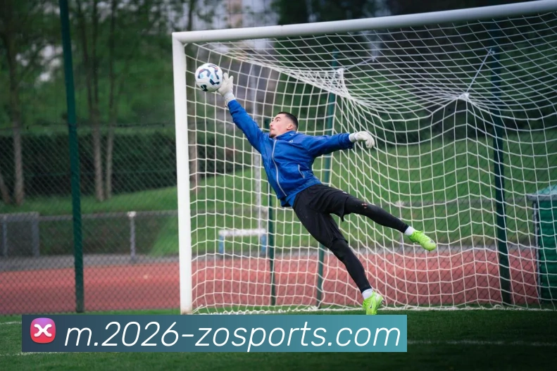 中欧体育APP 高清赛事图